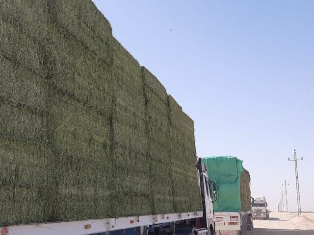 Hay bales loaded for shipment