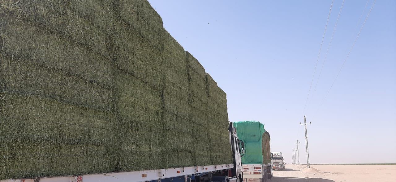 Hay bales loaded for shipment